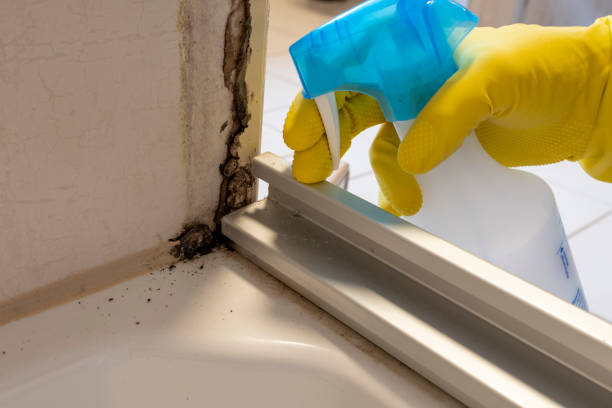 Crawl Space Mold Removal in Hazelwood, MO