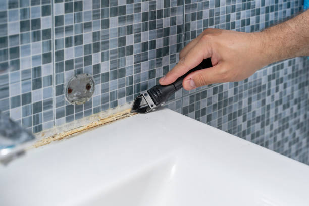 Home Mold Removal in Hazelwood, MO